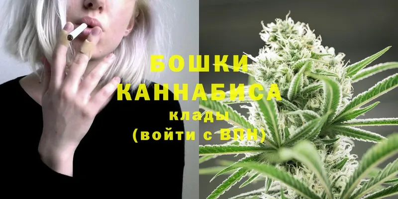 Бошки марихуана THC 21%  Камешково 